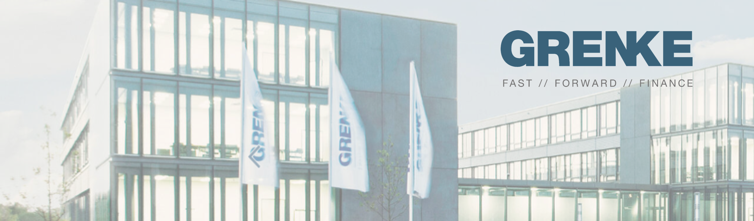 Webshop header Grenke.png