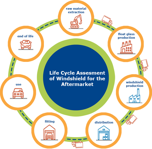 life cycle 1.jpg